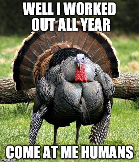 Thanksgiving Day | WELL I WORKED OUT ALL YEAR COME AT ME HUMANS | image tagged in thanksgiving day | made w/ Imgflip meme maker