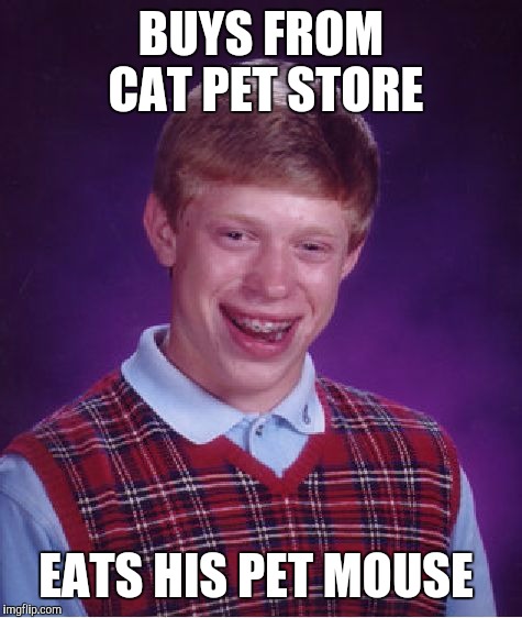 Bad Luck Brian Meme | BUYS FROM CAT PET STORE EATS HIS PET MOUSE | image tagged in memes,bad luck brian | made w/ Imgflip meme maker