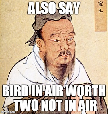 ALSO SAY BIRD IN AIR WORTH TWO NOT IN AIR | made w/ Imgflip meme maker