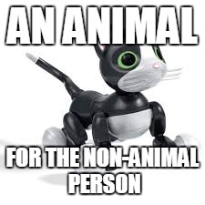 I saw a commercial for this, and this popped into my mind. | AN ANIMAL FOR THE NON-ANIMAL PERSON | image tagged in animal,animals,cats,cat,robot,memes | made w/ Imgflip meme maker