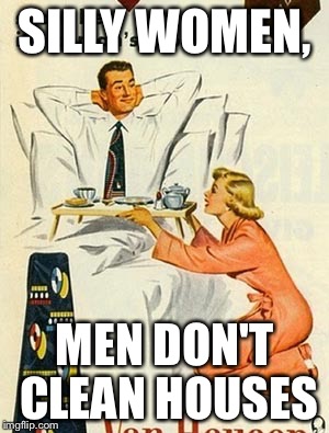 SILLY WOMEN, MEN DON'T CLEAN HOUSES | made w/ Imgflip meme maker