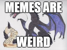 starflight's logic | MEMES ARE WEIRD | image tagged in starflight's logic,starflight,starflight the nightwing,dragon,wof | made w/ Imgflip meme maker