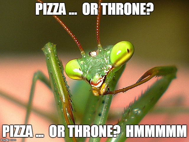 PIZZA ...  OR THRONE? PIZZA ...  OR THRONE?  HMMMMM | made w/ Imgflip meme maker