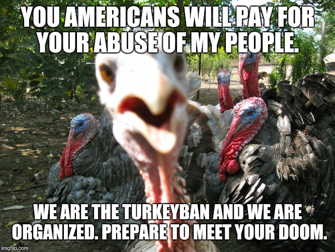 Turkeys | YOU AMERICANS WILL PAY FOR YOUR ABUSE OF MY PEOPLE. WE ARE THE TURKEYBAN AND WE ARE ORGANIZED. PREPARE TO MEET YOUR DOOM. | image tagged in turkeys | made w/ Imgflip meme maker