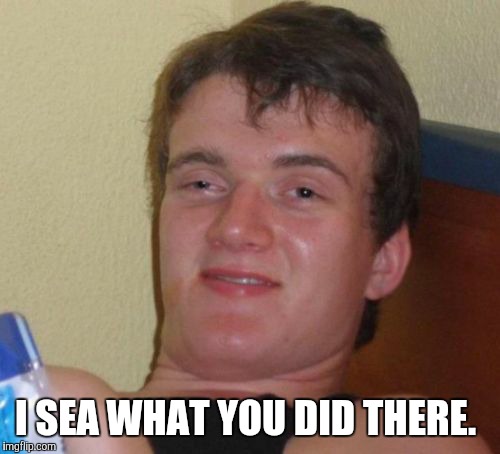 10 Guy Meme | I SEA WHAT YOU DID THERE. | image tagged in memes,10 guy | made w/ Imgflip meme maker