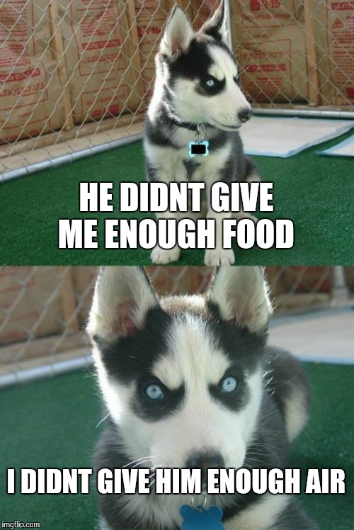 Insanity Puppy | HE DIDNT GIVE ME ENOUGH FOOD I DIDNT GIVE HIM ENOUGH AIR | image tagged in memes,insanity puppy | made w/ Imgflip meme maker