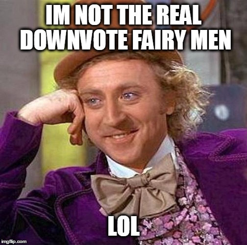 Creepy Condescending Wonka Meme | IM NOT THE REAL DOWNVOTE FAIRY MEN LOL | image tagged in memes,creepy condescending wonka | made w/ Imgflip meme maker