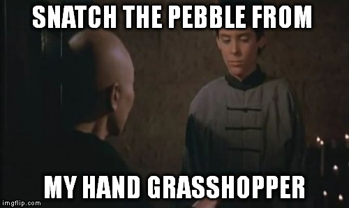 SNATCH THE PEBBLE FROM MY HAND GRASSHOPPER | made w/ Imgflip meme maker