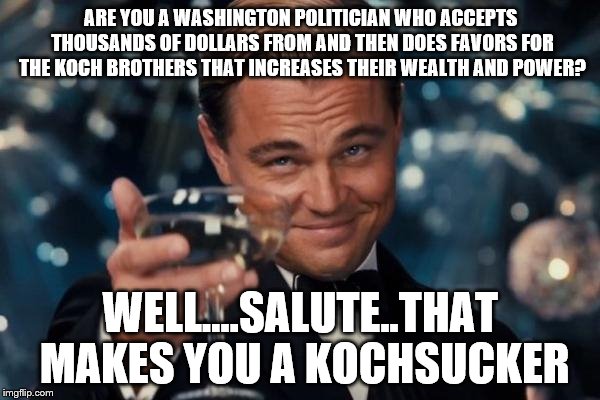 Leonardo Dicaprio Cheers | ARE YOU A WASHINGTON POLITICIAN WHO ACCEPTS THOUSANDS OF DOLLARS FROM AND THEN DOES FAVORS FOR THE KOCH BROTHERS THAT INCREASES THEIR WEALTH | image tagged in memes,leonardo dicaprio cheers | made w/ Imgflip meme maker