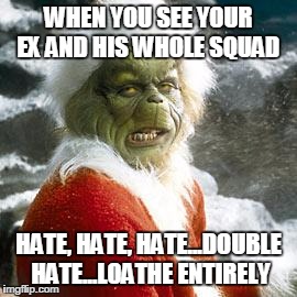 grinch | WHEN YOU SEE YOUR EX AND HIS WHOLE SQUAD HATE, HATE, HATE...DOUBLE HATE...LOATHE ENTIRELY | image tagged in grinch | made w/ Imgflip meme maker
