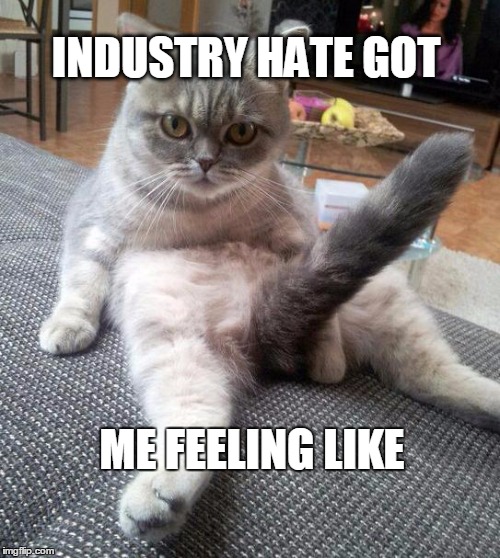 Sexy Cat Meme | INDUSTRY HATE GOT ME FEELING LIKE | image tagged in memes,sexy cat | made w/ Imgflip meme maker