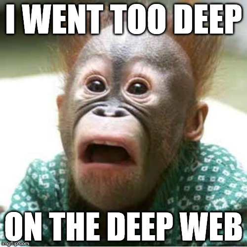 Scared monkey | I WENT TOO DEEP ON THE DEEP WEB | image tagged in scared monkey | made w/ Imgflip meme maker