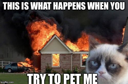 Burn Kitty | THIS IS WHAT HAPPENS WHEN YOU TRY TO PET ME | image tagged in memes,burn kitty | made w/ Imgflip meme maker