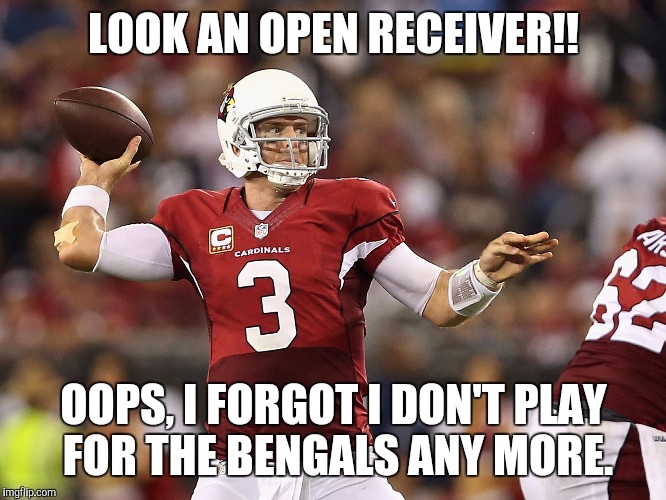 LOOK AN OPEN RECEIVER!! OOPS, I FORGOT I DON'T PLAY FOR THE BENGALS ANY MORE. | image tagged in football,sports,nfl | made w/ Imgflip meme maker