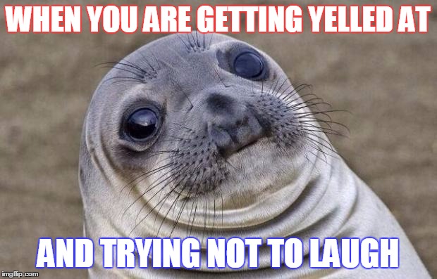 Awkward Moment Sealion Meme | WHEN YOU ARE GETTING YELLED AT AND TRYING NOT TO LAUGH | image tagged in memes,awkward moment sealion | made w/ Imgflip meme maker