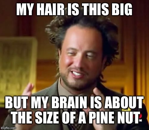 Ancient Aliens Meme | MY HAIR IS THIS BIG BUT MY BRAIN IS ABOUT THE SIZE OF A PINE NUT | image tagged in memes,ancient aliens | made w/ Imgflip meme maker