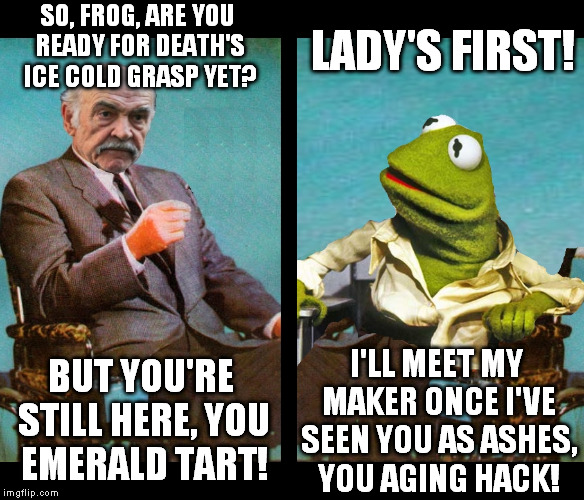 Meanwhile! In the year 2020... | SO, FROG, ARE YOU READY FOR DEATH'S ICE COLD GRASP YET? LADY'S FIRST! BUT YOU'RE STILL HERE, YOU EMERALD TART! I'LL MEET MY MAKER ONCE I'VE  | image tagged in kermit vs sean connery wheelchairs,kermit vs connery | made w/ Imgflip meme maker