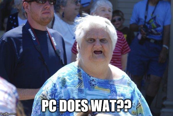 Wat Lady | PC DOES WAT?? | image tagged in wat lady | made w/ Imgflip meme maker