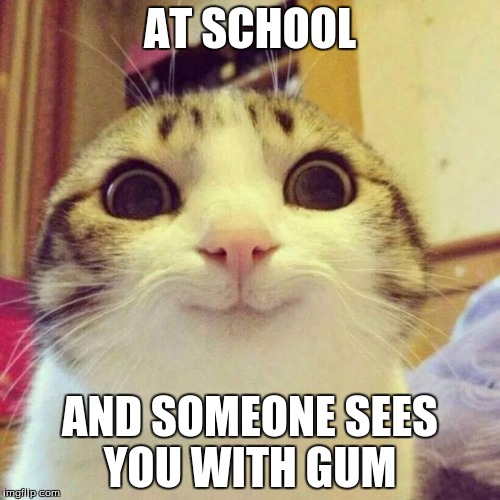 Smiling Cat | AT SCHOOL AND SOMEONE SEES YOU WITH GUM | image tagged in memes,smiling cat | made w/ Imgflip meme maker