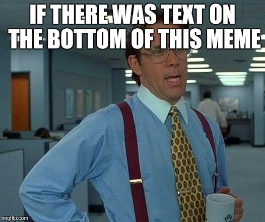 That Would Be Great | IF THERE WAS TEXT ON THE BOTTOM OF THIS MEME | image tagged in memes,that would be great | made w/ Imgflip meme maker