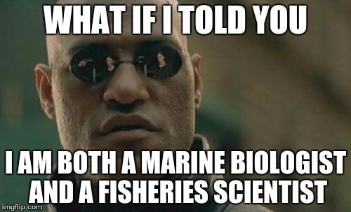 Matrix Morpheus Meme | WHAT IF I TOLD YOU I AM BOTH A MARINE BIOLOGIST AND A FISHERIES SCIENTIST | image tagged in memes,matrix morpheus | made w/ Imgflip meme maker