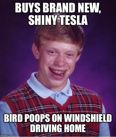 Bad Luck Brian Meme | BUYS BRAND NEW, SHINY TESLA BIRD POOPS ON WINDSHIELD DRIVING HOME | image tagged in memes,bad luck brian | made w/ Imgflip meme maker