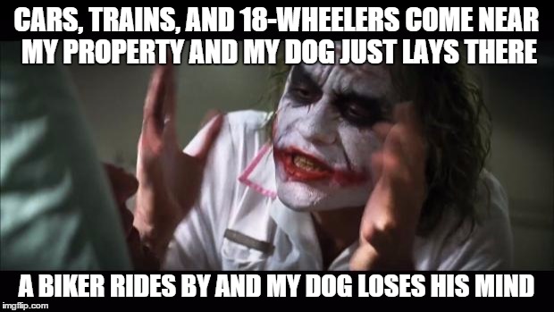 What's With Those Bikers, Anyway? | CARS, TRAINS, AND 18-WHEELERS COME NEAR MY PROPERTY AND MY DOG JUST LAYS THERE A BIKER RIDES BY AND MY DOG LOSES HIS MIND | image tagged in memes,and everybody loses their minds,dogs | made w/ Imgflip meme maker