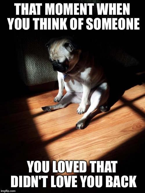 Depressed Pug | THAT MOMENT WHEN YOU THINK OF SOMEONE YOU LOVED THAT DIDN'T LOVE YOU BACK | image tagged in depressed pug | made w/ Imgflip meme maker