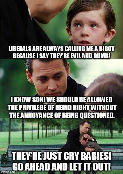 Finding Neverland | LIBERALS ARE ALWAYS CALLING ME A BIGOT BECAUSE I SAY THEY'RE EVIL AND DUMB! I KNOW SON! WE SHOULD BE ALLOWED THE PRIVILEGE OF BEING RIGHT WI | image tagged in memes,finding neverland | made w/ Imgflip meme maker