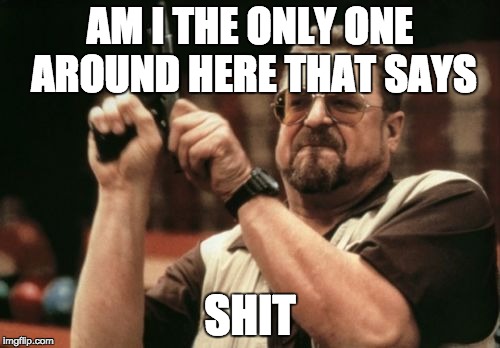 Am I The Only One Around Here | AM I THE ONLY ONE AROUND HERE THAT SAYS SHIT | image tagged in memes,am i the only one around here | made w/ Imgflip meme maker