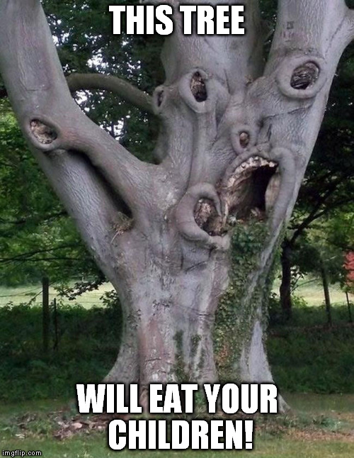 Scary Tree | THIS TREE WILL EAT YOUR CHILDREN! | image tagged in scary tree | made w/ Imgflip meme maker