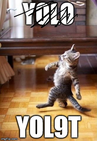 Cool Cat Stroll Meme | YOLO YOL9T | image tagged in memes,cool cat stroll | made w/ Imgflip meme maker