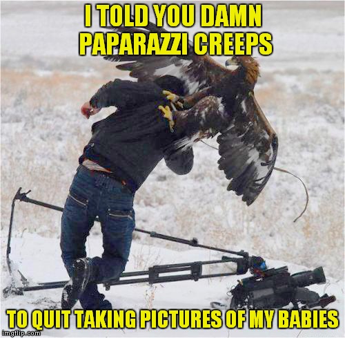 Paparazzi | I TOLD YOU DAMN PAPARAZZI CREEPS TO QUIT TAKING PICTURES OF MY BABIES | image tagged in meme,eagle,attack | made w/ Imgflip meme maker