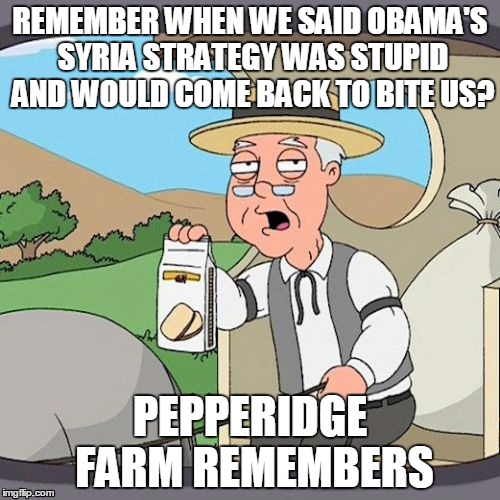 Pepperidge Farm Remembers | REMEMBER WHEN WE SAID OBAMA'S SYRIA STRATEGY WAS STUPID AND WOULD COME BACK TO BITE US? PEPPERIDGE FARM REMEMBERS | image tagged in memes,pepperidge farm remembers,syria,obama,liberals | made w/ Imgflip meme maker