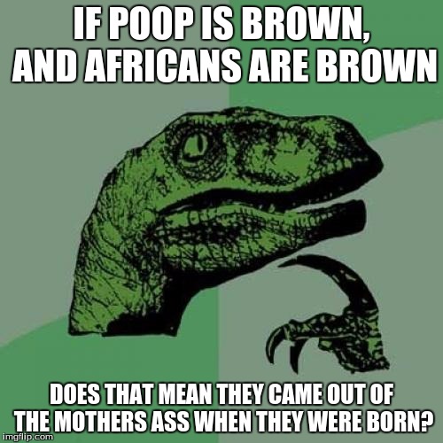 Philosoraptor Meme | IF POOP IS BROWN, AND AFRICANS ARE BROWN DOES THAT MEAN THEY CAME OUT OF THE MOTHERS ASS WHEN THEY WERE BORN? | image tagged in memes,philosoraptor | made w/ Imgflip meme maker