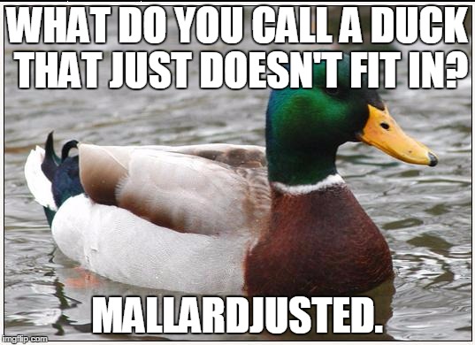 Actual Advice Mallard Meme | WHAT DO YOU CALL A DUCK THAT JUST DOESN'T FIT IN? MALLARDJUSTED. | image tagged in memes,actual advice mallard | made w/ Imgflip meme maker