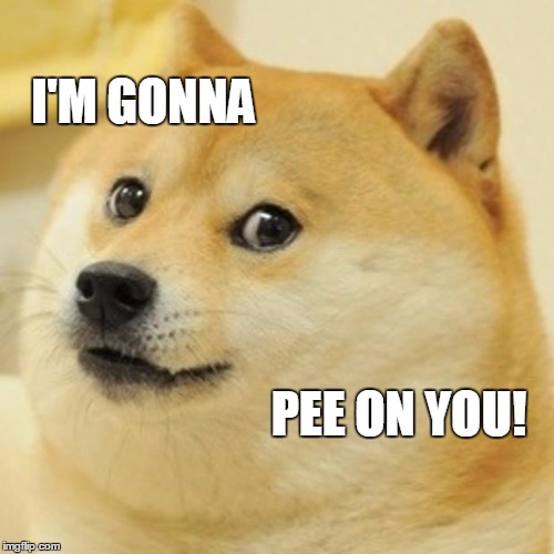 Doge Meme | I'M GONNA PEE ON YOU! | image tagged in memes,doge | made w/ Imgflip meme maker