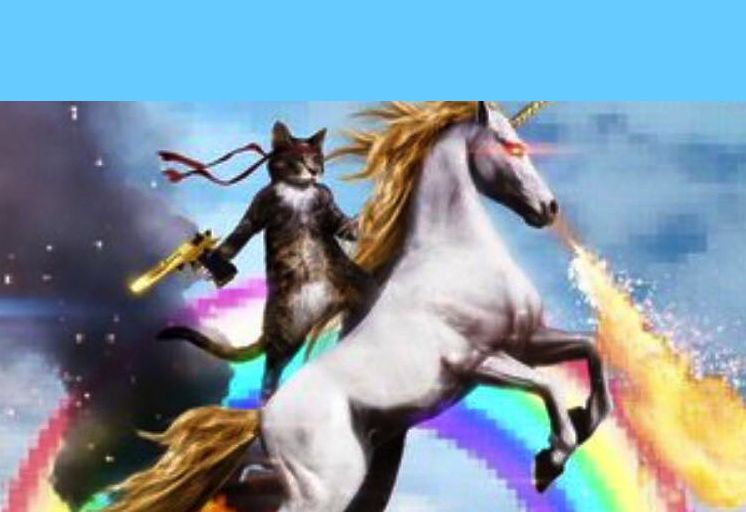 High Quality Cat unicorn Blank Meme Template