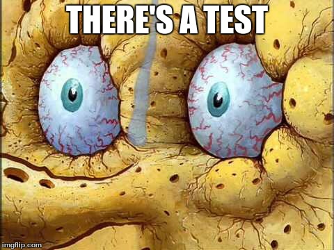 Dry spongebob | THERE'S A TEST | image tagged in dry spongebob | made w/ Imgflip meme maker
