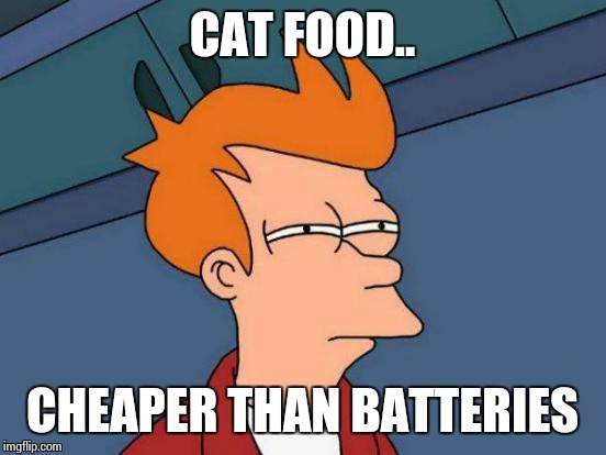 Futurama Fry Meme | CAT FOOD.. CHEAPER THAN BATTERIES | image tagged in memes,futurama fry | made w/ Imgflip meme maker