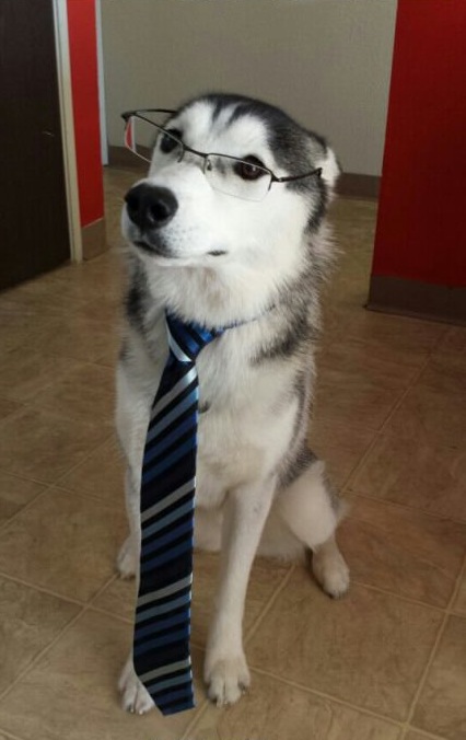 estudiante Blank Meme Template