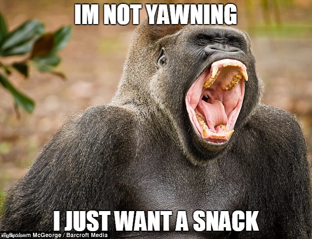 I'm not Yawning | IM NOT YAWNING I JUST WANT A SNACK | image tagged in i'm not yawning | made w/ Imgflip meme maker