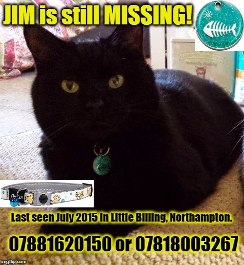 JIM is still MISSING! Last seen July 2015 in Little Billing, Northampton. 07881620150 or 07818003267 | made w/ Imgflip meme maker