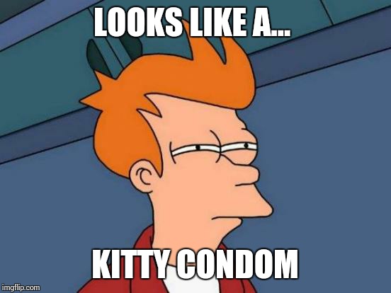 Futurama Fry Meme | LOOKS LIKE A... KITTY CONDOM | image tagged in memes,futurama fry | made w/ Imgflip meme maker