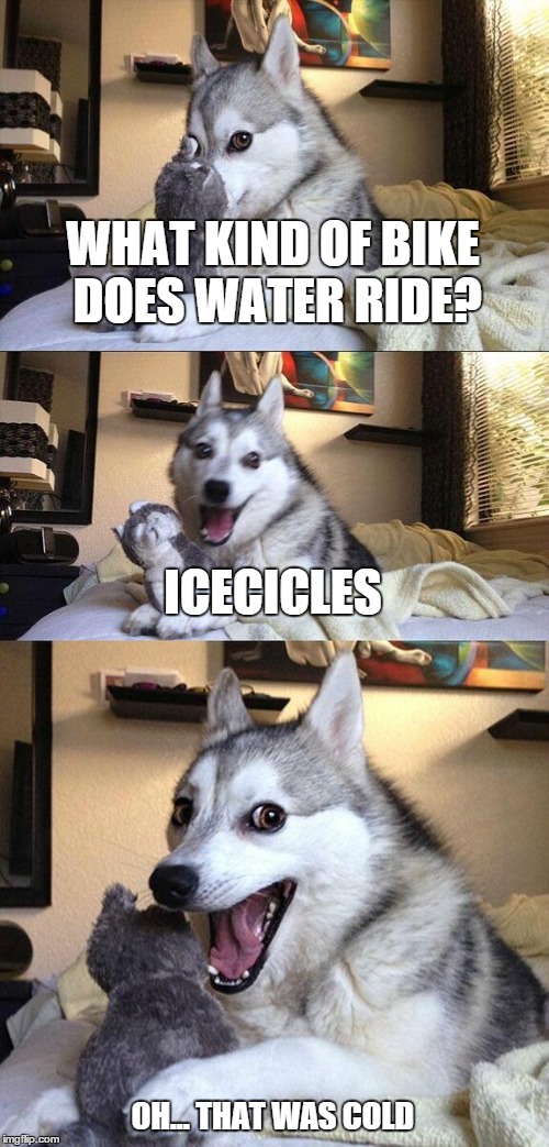 That was cold | WHAT KIND OF BIKE DOES WATER RIDE? ICECICLES OH... THAT WAS COLD | image tagged in bad pun dog,cold,bikes | made w/ Imgflip meme maker