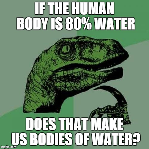 Philosoraptor | IF THE HUMAN BODY IS 80% WATER DOES THAT MAKE US BODIES OF WATER? | image tagged in memes,philosoraptor | made w/ Imgflip meme maker