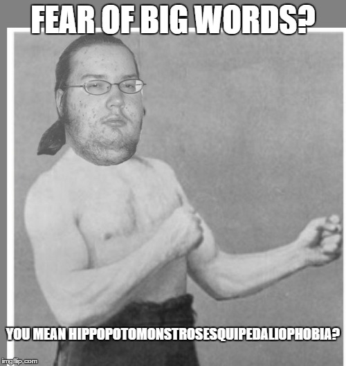 Overly nerdy nerd | FEAR OF BIG WORDS? YOU MEAN HIPPOPOTOMONSTROSESQUIPEDALIOPHOBIA? | image tagged in overly nerdy nerd | made w/ Imgflip meme maker