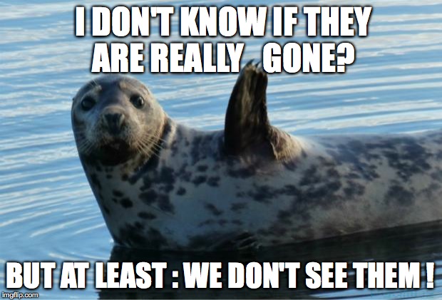 Seal | I DON'T KNOW IF THEY ARE REALLY   GONE? BUT AT LEAST : WE DON'T SEE THEM ! | image tagged in seal | made w/ Imgflip meme maker