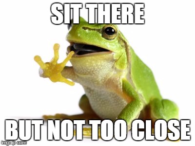 SIT THERE BUT NOT TOO CLOSE | image tagged in frog,eyes | made w/ Imgflip meme maker