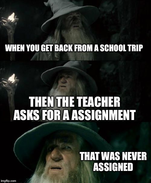 Confused Gandalf Meme | WHEN YOU GET BACK FROM A SCHOOL TRIP THEN THE TEACHER ASKS FOR A ASSIGNMENT THAT WAS NEVER ASSIGNED | image tagged in memes,confused gandalf | made w/ Imgflip meme maker